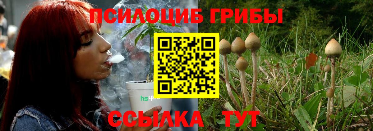 сколько стоит  Псилоцибиновые грибы мицелий  Вход с VPN  Алапаевск 